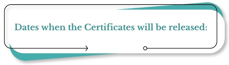 Summer Training Certificate Guide 